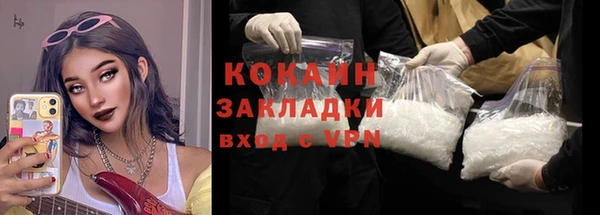 шишки Осташков