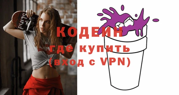 шишки Осташков