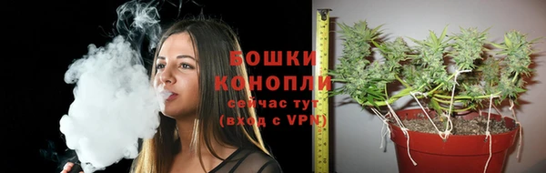 трава Калач