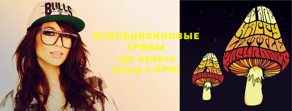 шишки Осинники