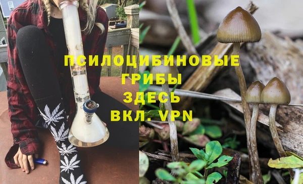 шишки Осташков