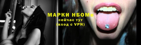 шишки Осташков