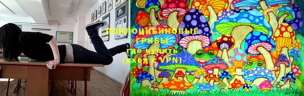 мдпв Семикаракорск
