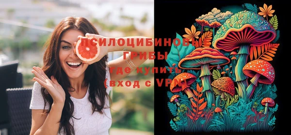 круглые Алзамай