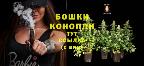 шишки Осташков