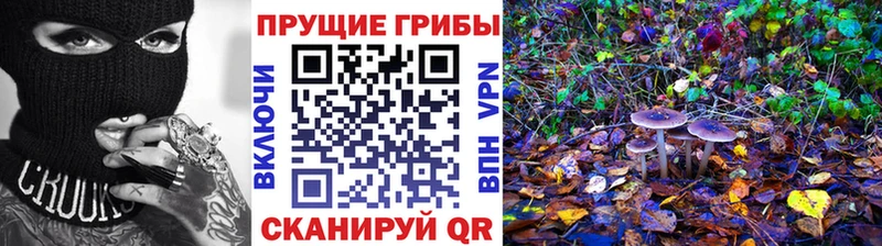 Псилоцибиновые грибы Magic Shrooms  Катав-Ивановск 
